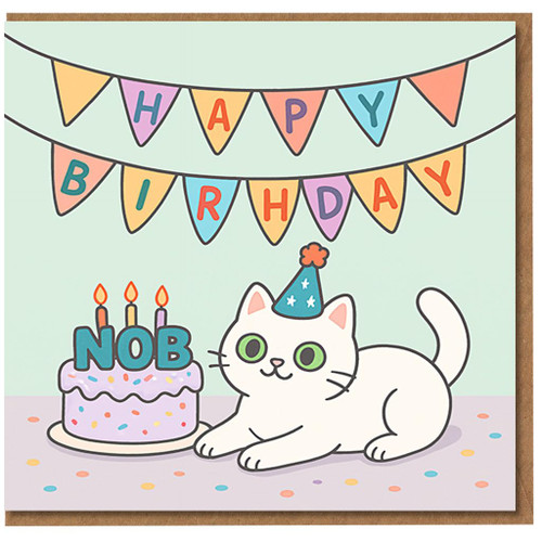 Funny Rude Birthday Card - Cat with Party Hat, Pastel Bunting ‘HAPY BIRHDAY’ and Cake Saying ‘NOB’ - Cheeky Humour for Friends