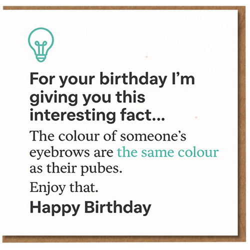 Funny Rude Birthday Card - Interesting Fact About Eyebrows and Pubes - Lightbulb Icon - Adult Humour - Happy Birthday