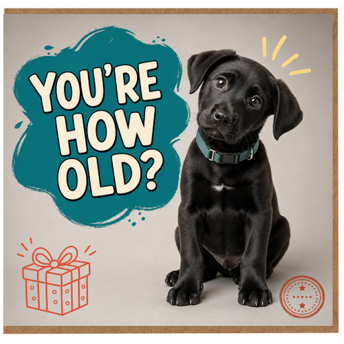 Birthday Card