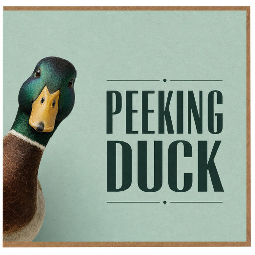 Birthday Card, Peeking Duck Funny Card