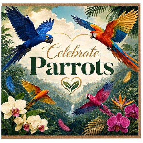 Birthday Card, Tropical Bird Greeting Card