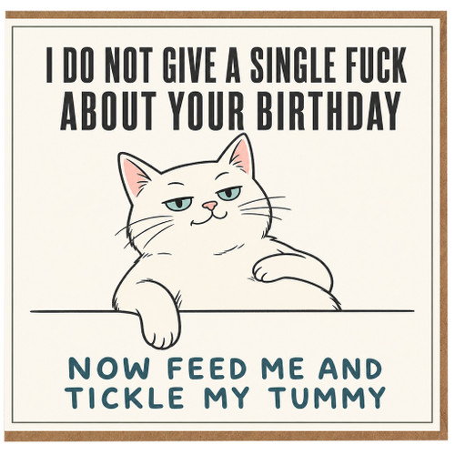 Birthday Card, Rude Cat Birthday Card