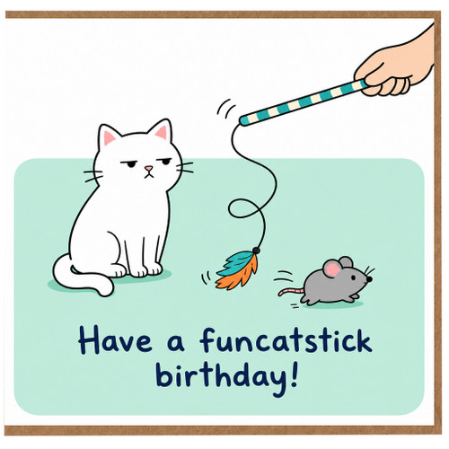 Birthday Card, Funny Have a Funcatstick Birthday Card