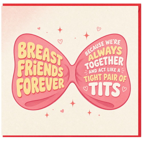 Birthday Card, Funny Friendship Card