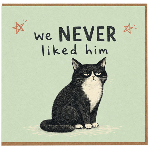 Birthday Card, We Never Liked Him Humorous Card