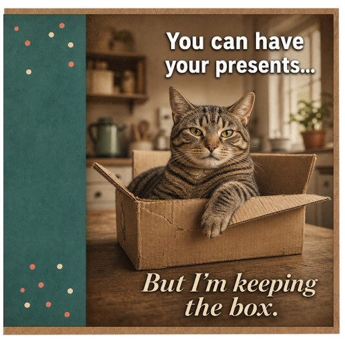 Birthday Card, You Can Have Your Presents But I'm Keeping the Box