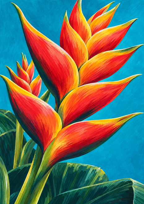 Large pointed red-orange and golden-yellow heliconia-like bloom with a smaller flower behind it against turquoise.