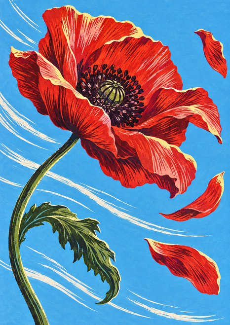A scarlet poppy with a dark center bends on a curved green stem against bright blue, with three drifting petals, a curling leaf and pale wind lines.