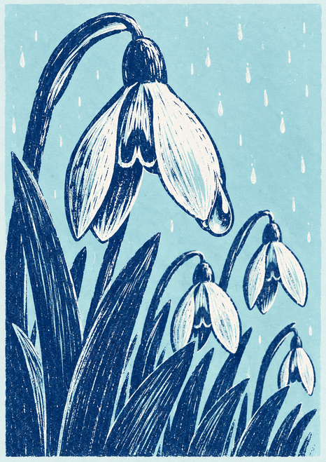 White snowdrop blooms and long leaves in dark ultramarine on a pale aqua ground, with small rain marks.