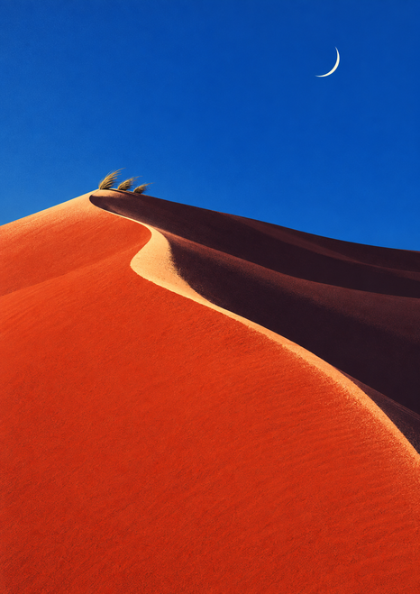 A pale crescent moon hangs in a cobalt sky above an orange-red desert dune, dark shadow, and small tuft of grasses.