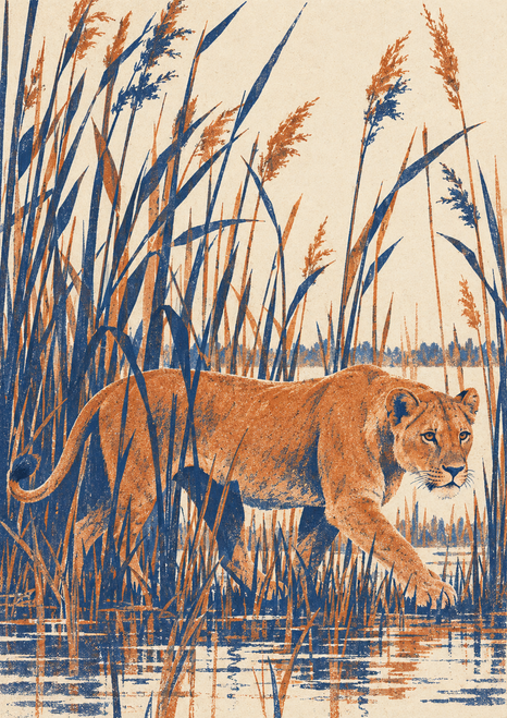Tawny lioness walking among angular blue and rust reeds above reflective water on a warm ivory background.