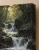 Pearlborn Siren Art Print, Pearls by a Forest Waterfall - matte canvas - exact closeup
