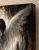 Scarred Seraph Art Print - Sorrowful Winged Fantasy Art - matte canvas - exact closeup