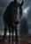 Black horse with a long mane, pale visible eye, and bared teeth standing in muddy ground beneath a stormy sky.
