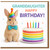 Granddaughter Birthday Card, Cute Bunny Party Hat and Cake Design