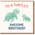Brother Card, Turtley Awesome Brother Greeting Card