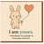 Cute Bunny Heart Balloon Love Card - I Am Yours - Funny No Refunds or Exchanges - Anniversary, Valentine’s or Just Because Card for Partner