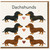Cute Dachshunds Hearts Greeting Card for Dog Lovers - Sausage Dog Illustration - Love/Anniversary Card, Blank Inside