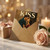 Kiss Me Romantic Couple Greeting Card - Love & Anniversary Card for Partner, Valentine’s Day Elegant Vintage Style