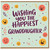 Granddaughter Birthday Card, Wishing You The Happiest Granddaughter, Funny Celebration Card