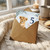 5th Birthday Card, Cute Lion Cub 5 Today
