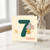 7th Birthday Card, Cute Mouse and Dragonfly Today Card
