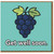 Get Well Soon Card - Cute Grapes Illustration - Cheer Up Recovery Card for Friends, Family or Colleagues