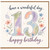 13th Birthday Card, Have a Wonderful Day Happy Birthday Card with Floral Watercolour Design