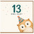 13th Birthday Card, 13 Owl Old Funny Owl Birthday Card