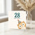 28th Birthday Card, Funny Owl Old Birthday Card, 28 Owl Old Card
