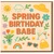 Colourful Spring Birthday Babe Greeting Card - Cute Sunshine, Flowers, Rainbow & Cocktails - Fun Springtime Birthday Card for Partner or Friend