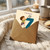 7th Birthday Card, Football Boy Birthday Card