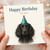 Happy Birthday Dog Card - Cute Black Spaniel in Party Hat - Animal Birthday Card for Him, Her, Friend, Dog Lovers - Happy to You Design