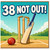 38th Birthday Card, Cricket Not Out Card