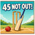 45th Birthday Card, Cricket Theme 45 Not Out Card