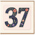 37th Birthday Card, Floral Number 37 Card