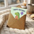 8th Birthday Card, Cute Dinosaur Happy Birthday Card