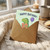 10th Birthday Card, Dinosaur Happy Birthday Card