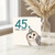 45th Birthday Card, Owl Old? Funny Birthday Card
