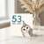 53rd Birthday Card, Owl Old Funny Birthday Card
