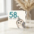 58th Birthday Card, Funny Owl Old? Birthday Card for Him or Her