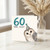 60th Birthday Card, Owl Old?