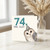 74th Birthday Card, Funny Owl Birthday Card for Her or Him