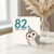 82nd Birthday Card, 82 Owl Old Funny Owl Birthday Card