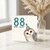 88th Birthday Card, 88 Owl Old? Cute Owl Pun Card