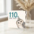110th Birthday Card, Funny Owl Old Birthday Card