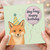 Hey Foxy Happy Birthday Card - Cute Fox with Party Hat and Balloon - Funny Animal Birthday Card for Adults and Kids