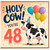 48th Birthday Card, Holy Cow You're 48 Card