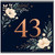 43rd Birthday Card, Elegant Floral Navy and Copper Number 43 Card