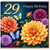 29th Birthday Card, Happy Birthday Floral Butterfly Card